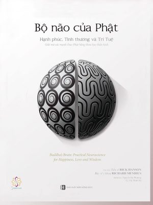 Bộ Não Của Phật | Rick Hanson