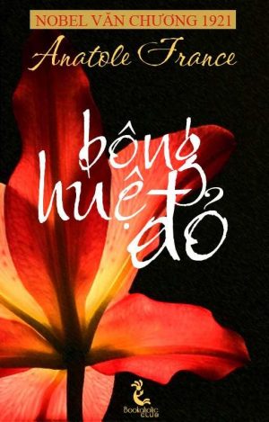 Bông Huệ Đỏ