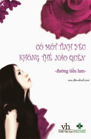 Có Một Tình Yêu Không Thể Nào Quên