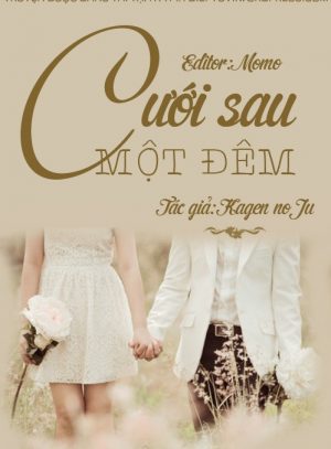 Cưới Sau Một Đêm