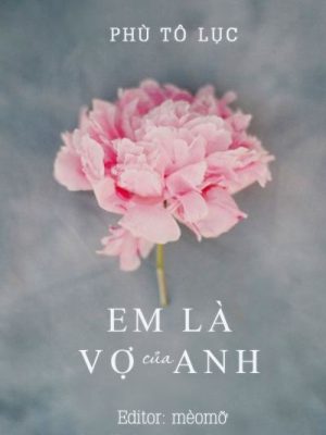 Em là Vợ của Anh