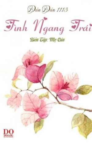 Hoa Lửa: Tình Ngang Trái