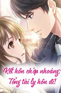 Kết Hôn Chớp Nhoáng - Tổng Tài Ly Hôn Đi