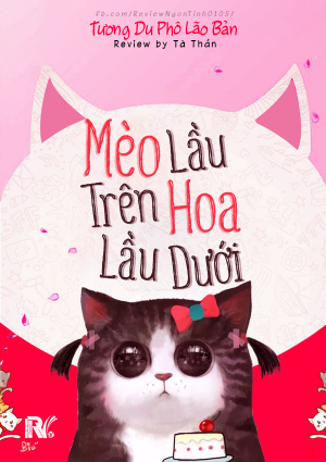 Mèo Lầu Trên, Hoa Lầu Dưới