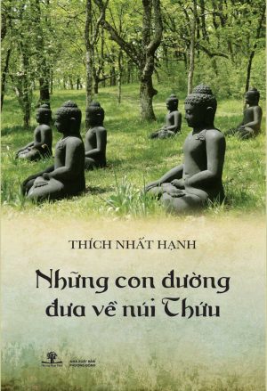 Những Con Đường Đưa Về Núi Thứu