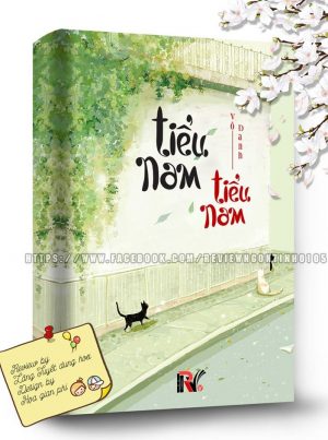 Tiểu Nam, Tiểu Nam