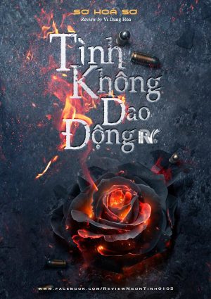 Tình Không Dao Động