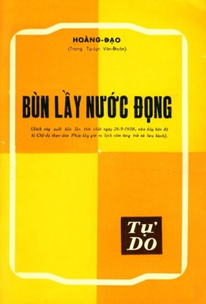 Bùn Lầy Nước Đọng