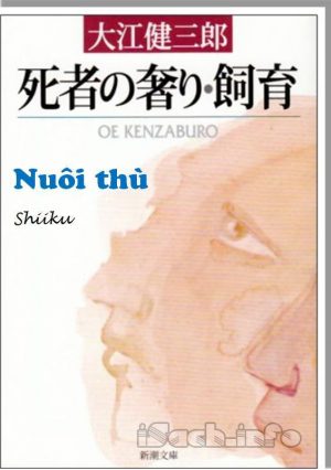 Nuôi Thù - Kenzaburo Oe